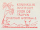 Meter Cover Netherlands 1966 - FR 9350 Royal Institute For The Tropics - Palm Tree - Bäume