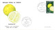 CAMEROUN  FDC 1967 FRUITS DU CAMEROUN - Cameroun (1960-...)