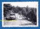 Photo Ancienne Snapshot - Route à Situer - Automobile CITROEN 2CV Et Troupeau De Chèvre - Auto Animal Forêt - Automobile