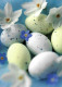 Finland - PAP - Happy Easter (Postcard Real Circulated) - Pâques