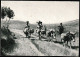 Schweiz Suisse 1941: Haussa-Karawane Im Grasland Von KAMERUN (Esel / Donkeys) Zu 253 Mi 398 Yv 370 Mit ⊙ BASEL 2.IX.1941 - Esel