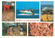 Navigation Sailing Vessels & Boats Themed Postcard Langouistine Fishing - Voiliers
