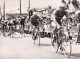 Photo Originale  - Cyclisme- VAN LOOY - Championnat Du Monde A Salo 1962  - Format 17.5 X 13.0 Cm - Radsport