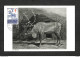 FINLANDE - FINLAND - SUOMI - Carte MAXIMUM 1957 - Reindeer (Rangifer Tarandus) - Tarjetas – Máximo