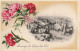 YO 6-(30) SOUVENIR DU GRAU DU ROI - CARTE FANTAISIE - VUE DE LA PLAGE , DECOR FLEURS : OEILLETS - 2 SCANS - Le Grau-du-Roi