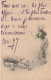 YO Nw29- JEUNE FEMME AVEC TRUIE ET PORTEE DE PORCELETS - 2 SCANS - 1900-1949