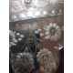 Delcampe - Mid 20th Century Murano Mirror - Espejos