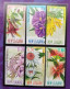 New Zealand Native Tree Flower 1999 Plant Flora Flowers (folder Set) MNH *see Scan - Ongebruikt