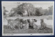 CPM CARTE POSTALE LIONS D AFRIQUE DE L EST - Lions