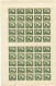 INDOCHINE N°164 ** RIZIERE EN PANNEAU DE 50 - Unused Stamps