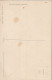 ZA 5- COMPOSITION FLORALE- FLEURS CHAMPETRES : COQUELICOTS , MARGUERITES - ILLUSTRATEUR (KLEIN ?) - 2 SCANS - 1900-1949