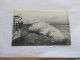 LES SABLES D OLONNE ( 85 Vendee ) ETUDES DE VAGUES AU PHARE ROUGE  ANIMEES 1909 - Sables D'Olonne