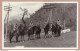 Foto/Cartolina Ricordo Gruppo Di Militari A Cavallo - Non Viaggiata - Weltkrieg 1939-45