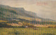 Z+ 26- CARTE PUBLICITAIRE PETROLE HAHN POUR LES CHEVEUX - PAYSAGE ECOSSAIS ( PRAIRIE , TROUPEAU ) - SCOTTISH LANDSCAPE - Reclame