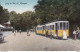 Netherlands Pay Bas Berg En Dal Tramway 1935 - Tramways