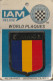 Z++ Nw- ( ROMANIA ) - WORLD PLAQUES - IAM DELUXE - PLAQUE AUTOMOBILE ADHESIVE SUR SUPPORT CARTONNE - Verkehr & Transport