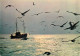 Navigation Sailing Vessels & Boats Themed Postcard Fishing Boats - Velieri