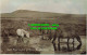 R563976 Dartmoor. Ponies At Foot Of Rippon Tor. E. A. Sweetman. Sunshine Series. - Mondo