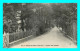 A844 / 105 44 - LA BAULE Sur MER Avenue Des Platanes - La Baule-Escoublac