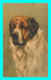 A841 / 455 CHIEN Saint Bernard - Perros