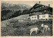 73669412 Bad Toelz Blomberghaus Mit Benediktenwandgruppe Bayerische Voralpen Alm - Bad Tölz