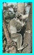 A842 / 629 SINGES Faune Africaine Jeune Singe - Monkeys