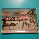 Cartolina Libia - Cammelli. Viaggiata - Libya