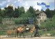 12009554 Maloja GR Lama Jones Adventure Company  Maloja - Sonstige & Ohne Zuordnung