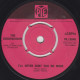 THE BUCKINGHAMS (GBR) - I'll Never Hurt You No More - Other - English Music