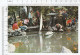 Setting Sail ! China, Children - Chine