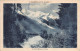 74-CHAMONIX MONT BLANC-N°T1060-B/0089 - Chamonix-Mont-Blanc