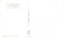 87-LE CHATEAU ROCHER AUX ENVIRONS DE SAINT MATHIEU-N°T1063-C/0167 - Autres & Non Classés