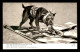 ILLUSTRATEURS - CHIEN BULL DOG DECHIRANT UN PAVILLON PIRATE - GUERRE 14/18 - EDITEUR LAPINA - Altri & Non Classificati