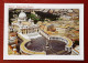 ROMA-Italy-Veduta Aerea Di Piazza San Pietro-Vintage Postcard-unused-80s - Autres Monuments, édifices
