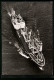 AK Handelsschiff MS Hammonia, Fliegeraufnahme  - Comercio