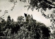 13811305 Mannenbach-Salenstein TG Schloss Salenstein  - Other & Unclassified