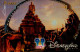 PASSEPORT DISNEY..ADULTE... - Disney-Pässe