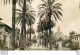 83.  HYERES .  Avenue Beauregard . - Hyeres