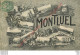 01.  MONTLUEL .  CP Multivues . - Montluel