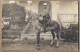 CARTE PHOTO MILITARIA - TB PLAN MILITAIRE A CHEVAL En AFRIQUE DU NORD TUNISIE TUNIS ARME ? 1912 - Regimientos