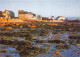 29-ROSCOFF-N° 4455-C/0393 - Roscoff