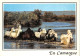 13-EN CAMARGUE-N° 4458-C/0037 - Autres & Non Classés