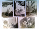 Pflanzen, Wolken, See, Berge, Versch. Ansichten, Fotokunst Groh, 5 Foto AK, 4x Ungelaufen, Ca. 1960, 1x Geschr - Unclassified