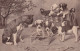 Cagnolini  1912 - Dogs