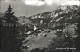 11962414 Niederrickenbach Panorama Mit Musenalp Niederrickenbach - Other & Unclassified