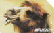 Italy: Telecom Italia - Animali Per Modo Di Dire, Camello (19mm) - Public Advertising
