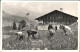 11960774 Adelboden Chalet International Eclareuses Adelboden - Autres & Non Classés