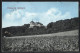 AK Göttingen, Blick Auf Das Gasthaus Rohns  - Göttingen