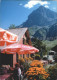 11935351 Engelberg OW Restaurant Alpenroesli  Engelberg OW - Other & Unclassified