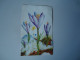 GREECE POSTCARDS  1980 FLOWERS  MORE  PURHASES 10% DISCOUNT - Grecia